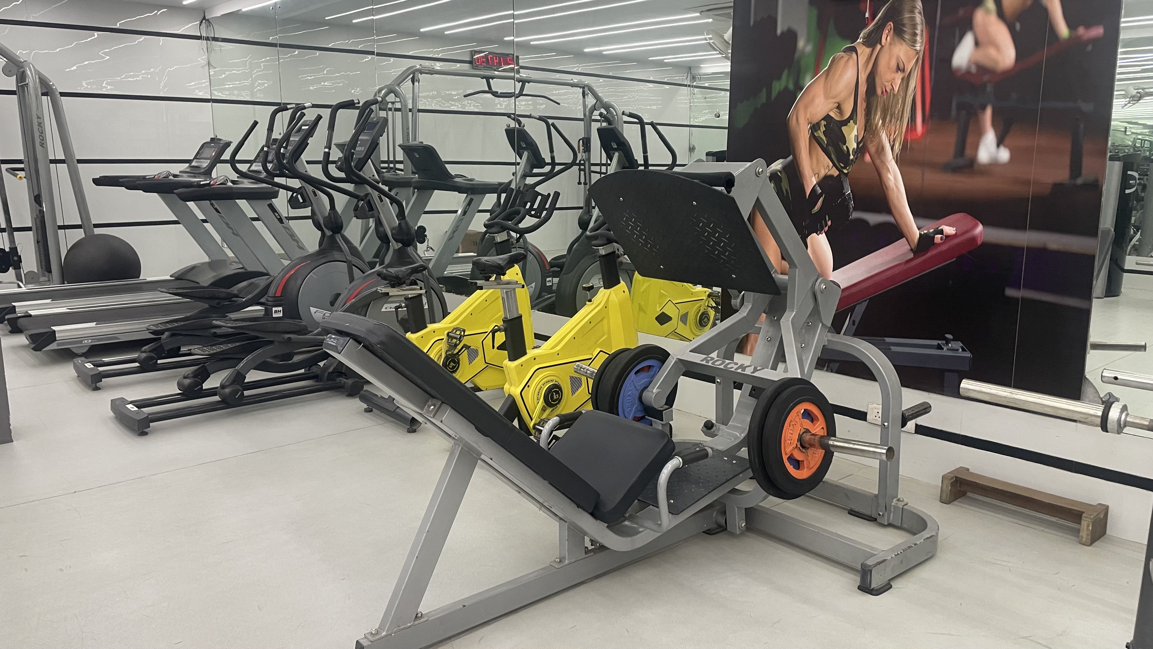 Cardio Equipment